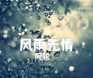 《风雨无情吉他谱》_阿轮 图片谱2张