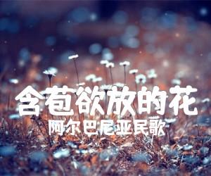 《含苞欲放的花吉他谱》_阿尔巴尼亚民歌_G调 图片谱2张