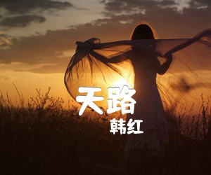 《天路吉他谱》_韩红_C调 图片谱5张