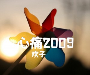 《心痛2009吉他谱》_欢子_C调 图片谱2张