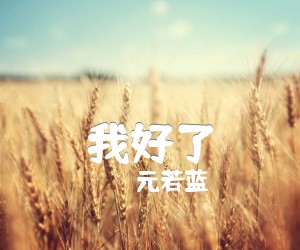 《我好了吉他谱》_元若蓝_G调 图片谱1张