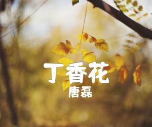 《丁香花吉他谱》_唐磊_G调_吉他图片谱3张