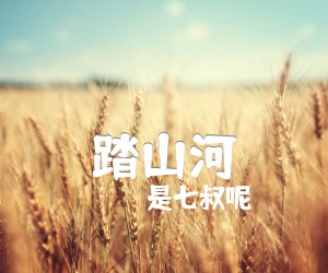 《踏山河吉他谱》_是七叔呢_G调 图片谱3张