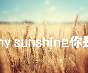 《You are my sunshine你是我的阳光吉他谱》_You_C调 图片谱1张