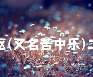 《苦闷之讴(又名苦中乐)二胡曲谱吉他谱》_刘天华 图片谱1张