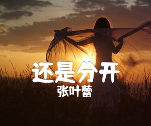 《还是分开吉他谱》_张叶蕾 图片谱3张