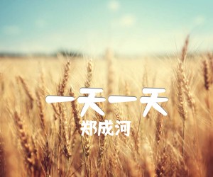 《一天一天吉他谱》_郑成河 图片谱4张