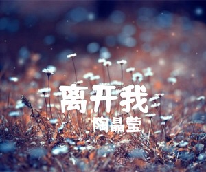 《离开我吉他谱》_陶晶莹 文字谱