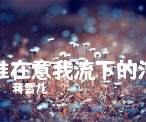 《谁在意我流下的泪吉他谱》_蒋雪儿_吉他图片谱3张