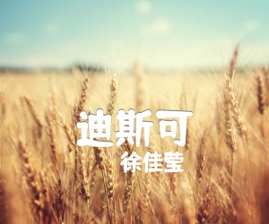 《迪斯可吉他谱》_徐佳莹 图片谱2张