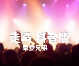 《走马 抖音版吉他谱》_摩登兄弟_C调 图片谱3张