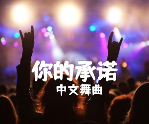 《你的承诺吉他谱》_中文舞曲_C调 图片谱2张