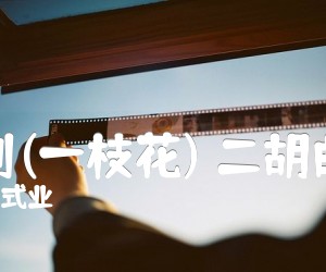 《壮别(一枝花) 二胡曲谱吉他谱》_刘式业 图片谱1张