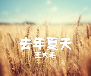 《去年夏天吉他谱》_王大毛_C调 图片谱6张