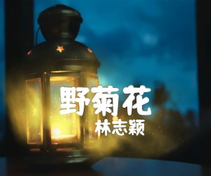 《野菊花吉他谱》_林志颖 图片谱4张