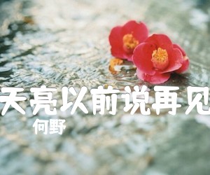 《天亮以前说再见吉他谱》_何野_G调 图片谱2张