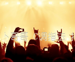 《地铁等待 萝卜哥哥 C调指法 抖音热门歌曲吉他谱》_群星_C调 图片谱1张