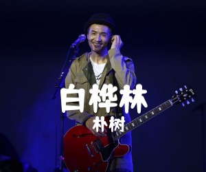 《白桦林吉他谱》_朴树_简化版_G调_吉他图片谱3张