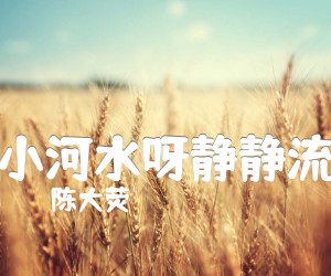 《小河水呀静静流吉他谱》_陈大荧_B调 图片谱1张