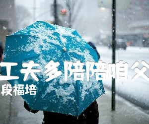 《有工夫多陪陪咱父母吉他谱》_段福培_C调 图片谱1张