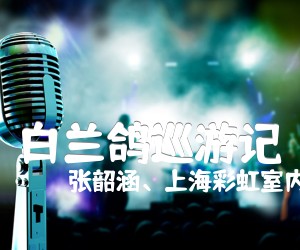 《白兰鸽巡游记吉他谱》_张韶涵、上海彩虹室内合唱团_B调 图片谱6张