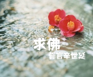 《求佛吉他谱》_誓言辛世延_G调 图片谱2张