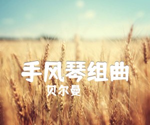 《手风琴组曲吉他谱》_贝尔曼 图片谱1张