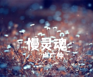 《慢灵魂吉他谱》_卢广仲_G调_吉他图片谱1张