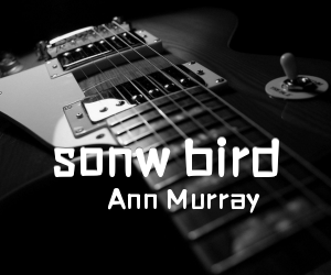 《sonw bird吉他谱》_Ann Murray_C调 图片谱2张