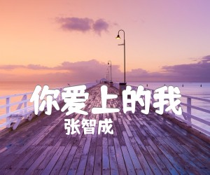 《你爱上的我吉他谱》_张智成 文字谱