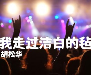 《当我走过洁白的毡房吉他谱》_胡松华_吉他图片谱1张