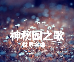 《神秘园之歌吉他谱》_世界名曲_吉他图片谱2张