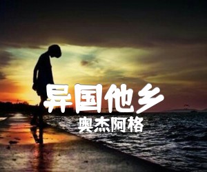 《奥杰阿格 异国他乡吉他谱》_奥杰阿格_G调 图片谱3张