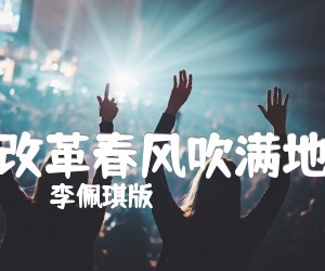 《改革春风吹满地吉他谱》_李佩琪版 文字谱