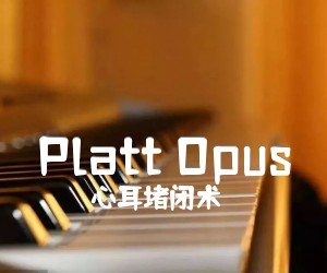 《Platt Opus吉他谱》_心耳堵闭术_未知调 图片谱2张