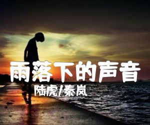 《雨落下的声音》