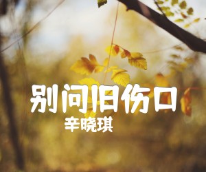 《别问旧伤口吉他谱》_辛晓琪_G调 图片谱3张