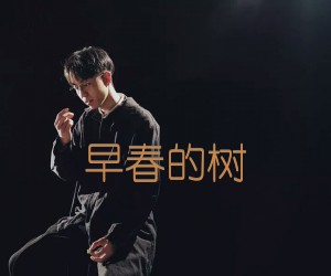 《早春的树吉他谱》_陈鸿宇_C调 图片谱3张