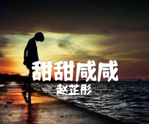 《甜甜咸咸吉他谱》_赵芷彤_未知调 图片谱2张