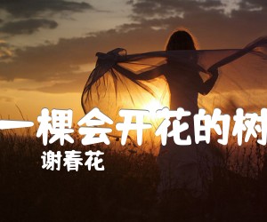 《一棵会开花的树》