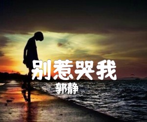 《别惹哭我吉他谱》_郭静_文字谱