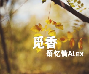 《觅香吉他谱》_萧忆情Alex_栗先达_图片谱完整版_F调_吉他图片谱3张