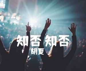 《知否 知否》