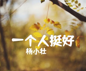 《一个人挺好吉他谱》_杨小壮_C调 图片谱2张