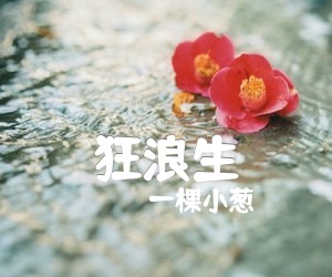 《狂浪生吉他谱》_一棵小葱 图片谱2张