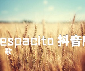 《Despacito 抖音版吉他谱》_歌 图片谱1张