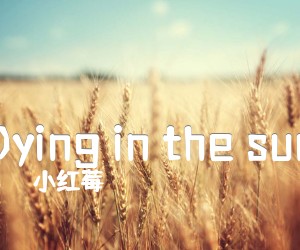 《Dying in the sun》