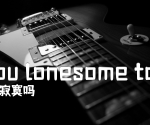 《Are you lonesome tonight吉他谱》_你今晚寂寞吗_C调 图片谱2张