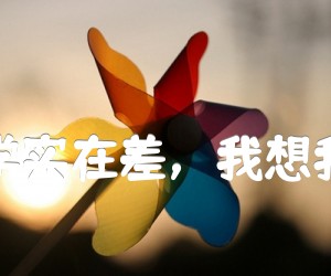 《若不是我数学实在差，我想我也能上北大吉他谱》_阿肆_C调_吉他图片谱1张