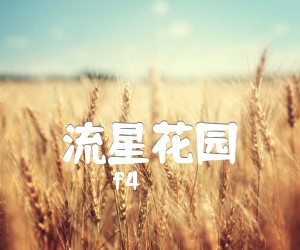 《流星花园吉他谱》_f4_D调 图片谱1张